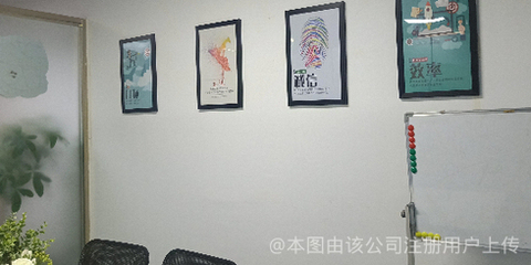 猫头鹰网络科技 洞察黑夜，引领未来